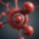 Illustration depicting the mechanism of blood clot formation.