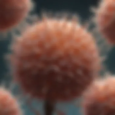 Microscopic Structure of Borrelia burgdorferi Close-up view of Borrelia burgdorferi under a microscope