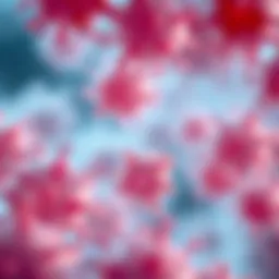 Microscopic view of DLBCL cells