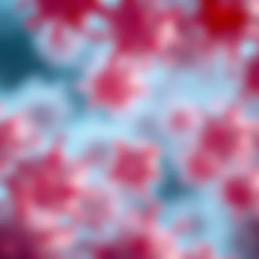 Microscopic view of DLBCL cells