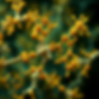 Diverse ligand binding interactions with GPCRs