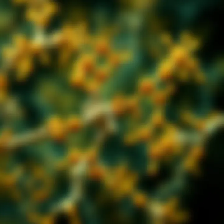 Diverse ligand binding interactions with GPCRs