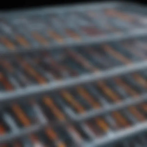 A detailed overview of various genome sequencing techniques.