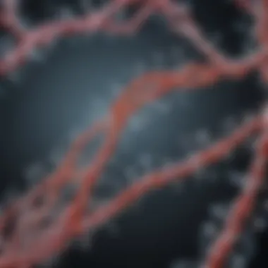Biochemical Pathways Influenced by Glucosamine Diagram illustrating biochemical pathways