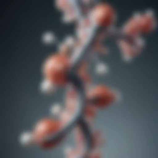 Molecular structure of glucosamine