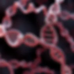 Schematic representation of siRNA mechanism in gene regulation