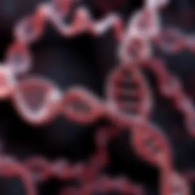 Schematic representation of siRNA mechanism in gene regulation