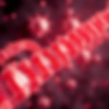 Illustration of off-target effects in siRNA applications