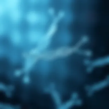 Visualization of therapeutic applications of on-target plus siRNA