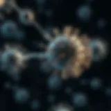 Illustration of the simian immunodeficiency virus transmission