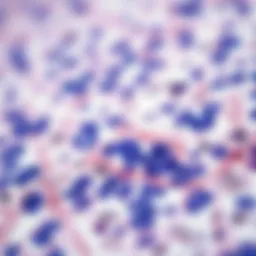 Detailed view of immunohistochemical staining