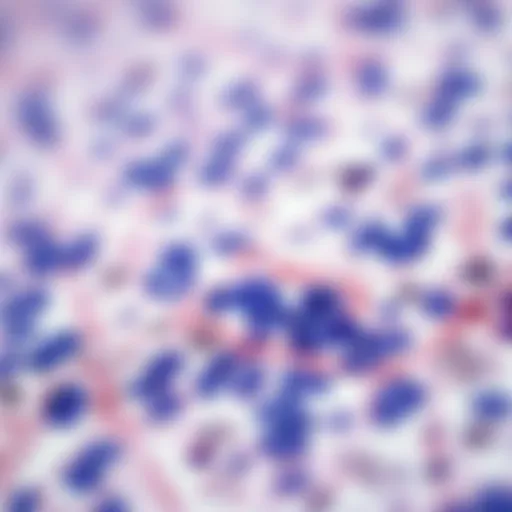 Detailed view of immunohistochemical staining