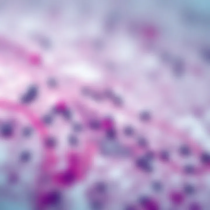 Tissue Sample Visualization with IHC Visualization of tissue samples using IHC techniques