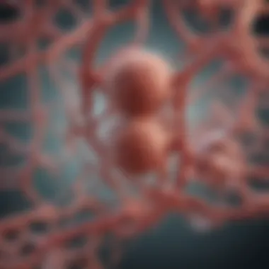 Diagram illustrating the role of protein metabolites in cellular functions