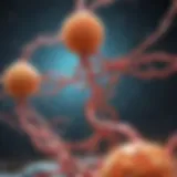 Visual representation of protein metabolism pathways