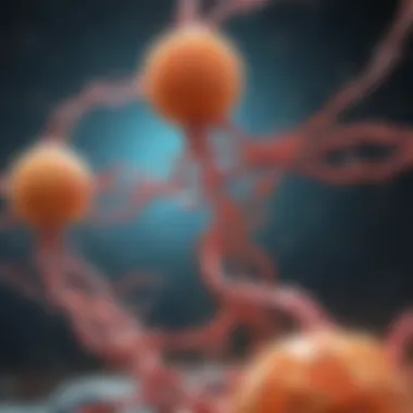 Visual representation of protein metabolism pathways