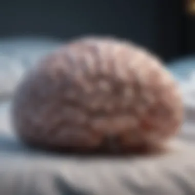 Brain Activity and Sleep Cycles Illustration of brain activity during sleep cycles