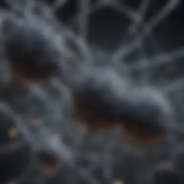 Illustration of a synchrony network showcasing interconnected nodes and their interactions.
