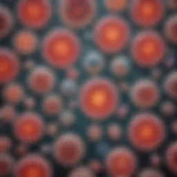 Illustration of various types of stem cells showing their unique characteristics and potential applications.