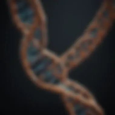 DNA Double Helix: Unraveling Genetic Mysteries A DNA double helix representation symbolizing genetic analysis