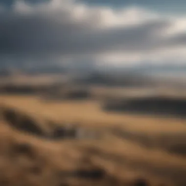The Mongolian Landscape: A Historical Backdrop The vast Mongolian landscape that witnessed Genghis Khan's reign