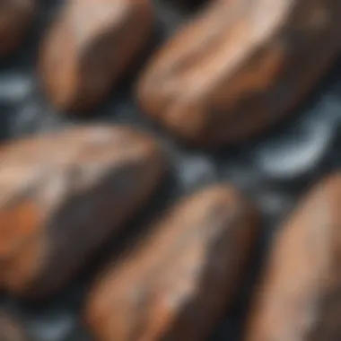 Detailed close-up of weathered rock surface influenced by ice movements.