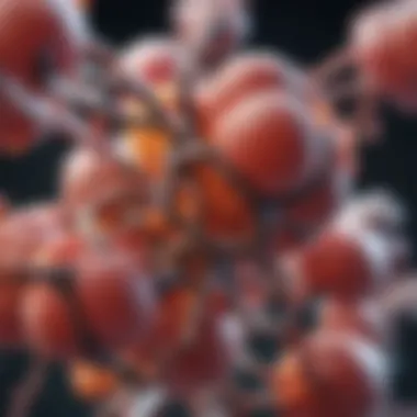 Molecular Insights into Ketone Bodies Molecular structure of ketone bodies in metabolism