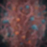 Visual representation of gut microbiota balance