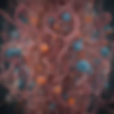 Visual representation of gut microbiota balance