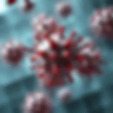 Representation of cellular mechanisms affected by npm1 mutations