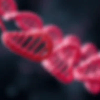 Illustration of the npm1 mutation impact on genetic coding