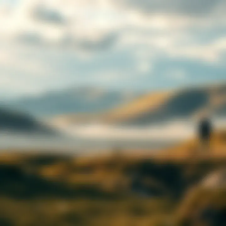 Landscape of Healing A tranquil landscape symbolizing healing and recovery