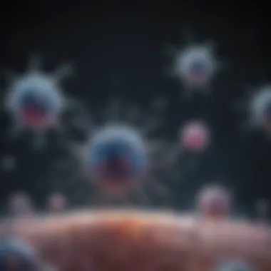 Applications in Cancer Research Visual overview of applications of ubiquitin antibodies in cancer research