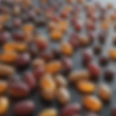 Diverse Vitamin Supplements for Cognitive Health An array of supplements highlighting various vitamins