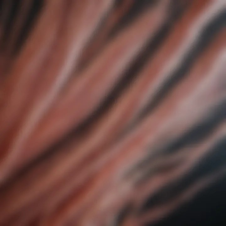 Illustration of muscle tissue fibers highlighting their arrangement and function in movement