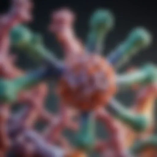 Detailed illustration of Fab Fc antibody structure highlighting key components