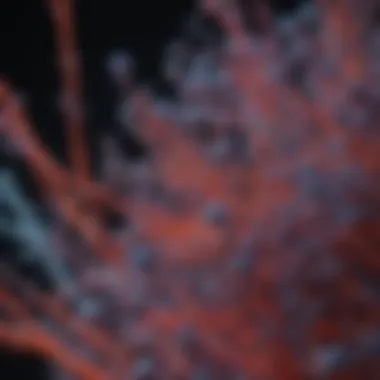 Visualizing Molecular Interactions Through Fluorescence Fluorescence micrograph illustrating molecular interactions
