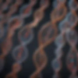 Illustration of DNA strands highlighting various traits