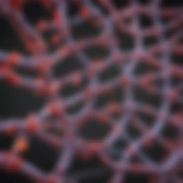 Graphical representation of gene regulation by histone methylation