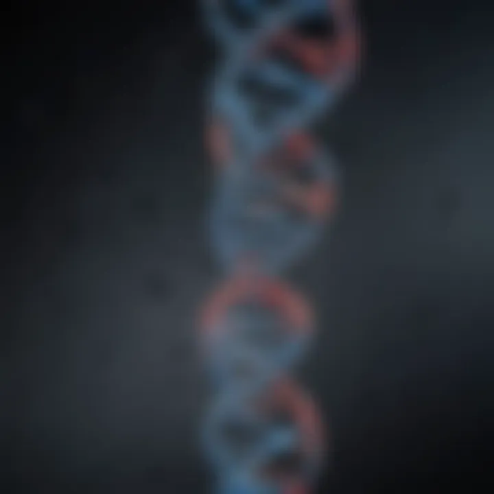 A close-up of a DNA strand symbolizing genetic connections.