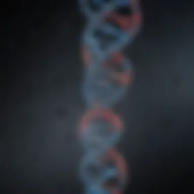 The Essence of Genetic Connections A close-up of a DNA strand symbolizing genetic connections.