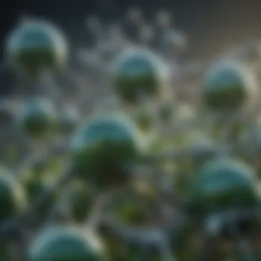 Molecular Structures of Greenhouse Gases Illustration of various greenhouse gases and their molecular structures