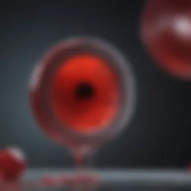 Evaluating Blood Parameters Infographic detailing diagnostic methods for elevated blood components