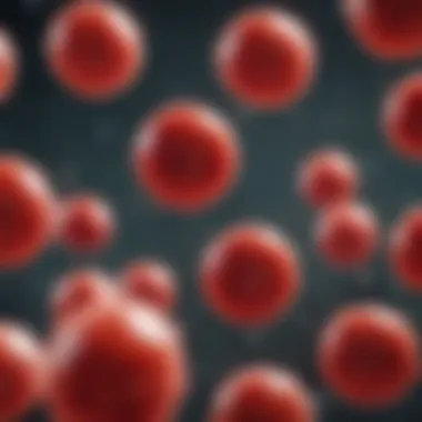 Red Blood Cells in Action Visual representation of red blood cells in a bloodstream