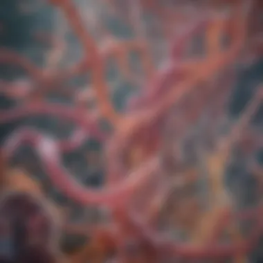 The Interaction Between Gut Microbiota and Histamine Illustration of gut microbiota interaction with histamine