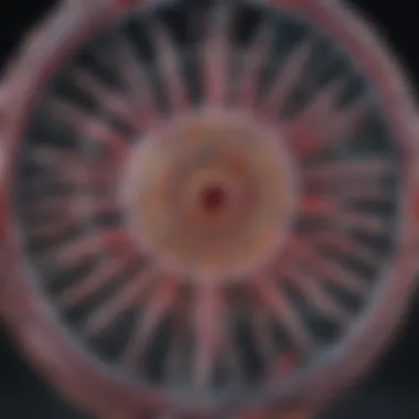 The Intricacies of HIV Genome Architecture Detailed illustration of the HIV genome structure