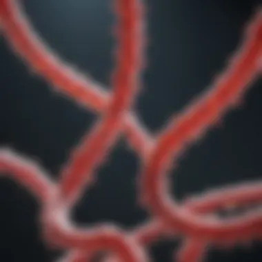 Understanding HIV Replication and Integration Strategies Mechanisms of HIV replication and integration