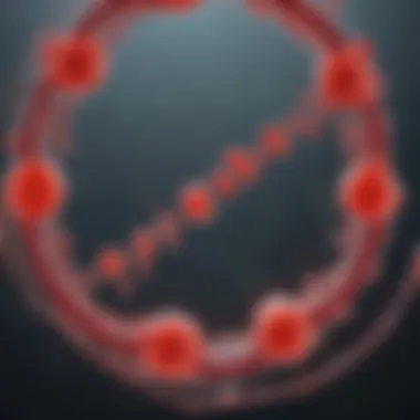 Visual representation of the replication cycle of HIV focusing on its nucleic acid HIV replication cycle highlighting nucleic acid role