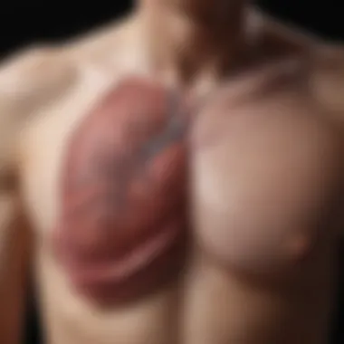 Lung Scarring in IPF Detailed illustration of lung scarring caused by idiopathic pulmonary fibrosis