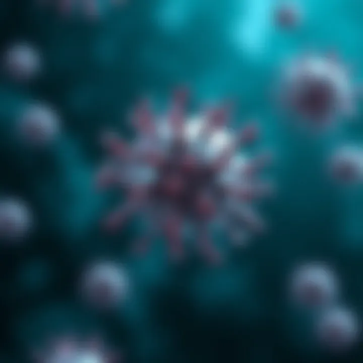 Illustration of immune response modulation by IL-4